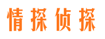 镇安婚外情调查